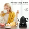 Thumbnail Gooseneck Electric Kettle — Electric Kettle, REXYHOME