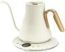 Thumbnail Gooseneck Electric Kettle — Electric Kettle, INTASTING