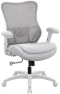 Thumbnail Big and Tall Ergonomic Mesh Desk Chair — Smart Chairs, WITTLONG