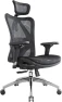Thumbnail Ergonomic Mesh Office Chair, High Back Home Desk Chair with 3D Armrests, Lumbar Support and Adjustable Headrest,... — Smart Chairs, SIHOO