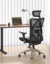 Thumbnail Ergonomic Mesh Office Chair, High Back Home Desk Chair with 3D Armrests, Lumbar Support and Adjustable Headrest,... — Smart Chairs, SIHOO