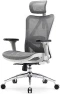 Thumbnail Ergonomic Mesh Office Chair, High Back Home Desk Chair with 3D Armrests, Lumbar Support and Adjustable Headrest,... — Smart Chairs, SIHOO