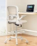 Thumbnail Drafting Chair with Foot Ring and Lumbar Support — Smart Chairs, ErGear