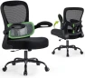 Thumbnail Ergonomic Desk Chair with Adjustable Lumbar Support — Smart Chairs, AreShark