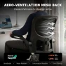 Thumbnail Ergonomic Desk Chair with Adjustable Lumbar Support — Smart Chairs, AreShark
