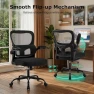 Thumbnail Ergonomic Desk Chair with Adjustable Lumbar Support — Smart Chairs, AreShark