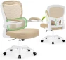 Thumbnail Ergonomic Desk Chair with Adjustable Lumbar Support — Smart Chairs, AreShark