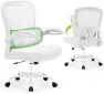 Thumbnail Ergonomic Desk Chair with Adjustable Lumbar Support — Smart Chairs, AreShark
