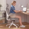 Thumbnail Ergonomic Office Chair M903 — Smart Chairs, SeekFancy