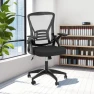 Thumbnail Ergonomic Office Chair, Mid Back Desk Chairs with Adjustable Height, Swivel Chair with Flip-Up Arms and Lumbar Support,... — Smart Chairs, naspaluro