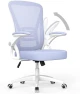 Thumbnail Ergonomic Office Chair, Mid Back Desk Chairs with Adjustable Height, Swivel Chair with Flip-Up Arms and Lumbar Support,... — Smart Chairs, naspaluro