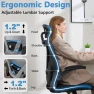 Thumbnail Ergonomic Office Chair with Headrest, Lumbar Support & Flip-up Armrests — Smart Chairs, OwgeinSet