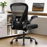 Thumbnail Ergonomic Office Chair with Headrest, Lumbar Support & Flip-up Armrests — Smart Chairs, OwgeinSet