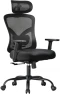 Thumbnail Ergonomic Office Chair with Padded Lumbar Support — Smart Chairs, NOBLEWELL