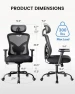 Thumbnail Ergonomic Office Chair with Padded Lumbar Support — Smart Chairs, NOBLEWELL