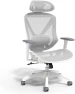 Thumbnail Ergonomic Task Chair with Mesh and Lumbar Support — Smart Chairs, STAPLES