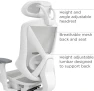 Thumbnail Ergonomic Task Chair with Mesh and Lumbar Support — Smart Chairs, STAPLES