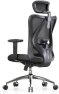 Thumbnail Office Chair Ergonomic Desk Chair, Breathable Mesh Design High Back Computer Chair, Adjustable Headrest and Lumbar... — Smart Chairs, SIHOO