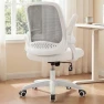 Thumbnail Office Desk Gaming Ergonomic Computer Chair with Lumbar Back Support — Smart Chairs, NEO CHAIR