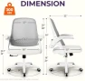 Thumbnail Office Desk Gaming Ergonomic Computer Chair with Lumbar Back Support — Smart Chairs, NEO CHAIR