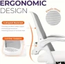 Thumbnail Office Desk Gaming Ergonomic Computer Chair with Lumbar Back Support — Smart Chairs, NEO CHAIR