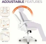 Thumbnail Office Desk Gaming Ergonomic Computer Chair with Lumbar Back Support — Smart Chairs, NEO CHAIR