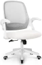 Thumbnail Office Desk Gaming Ergonomic Computer Chair with Lumbar Back Support — Smart Chairs, NEO CHAIR