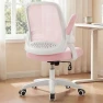 Thumbnail Office Desk Gaming Ergonomic Computer Chair with Lumbar Back Support — Smart Chairs, NEO CHAIR