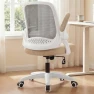 Thumbnail Office Desk Gaming Ergonomic Computer Chair with Lumbar Back Support — Smart Chairs, NEO CHAIR