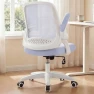 Thumbnail Office Desk Gaming Ergonomic Computer Chair with Lumbar Back Support — Smart Chairs, NEO CHAIR