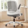 Thumbnail Office Desk Gaming Ergonomic Computer Chair with Lumbar Back Support — Smart Chairs, NEO CHAIR