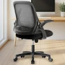 Thumbnail Office Desk Gaming Ergonomic Computer Chair with Lumbar Back Support — Smart Chairs, NEO CHAIR