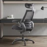 Thumbnail Big and Tall Ergonomic Executive Chair with Wide Seat — Smart Chairs, BOLISS