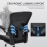 Thumbnail Ergonomic Heavy Duty Office Chair with Adjustable Lumbar Support — Smart Chairs, Heromate