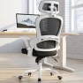 Thumbnail Ergonomic Office Chair with Back Support — Smart Chairs, TRALT