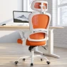 Thumbnail Ergonomic Office Chair with Back Support — Smart Chairs, TRALT