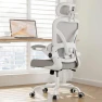 Thumbnail Ergonomic Office Chair with Lumbar Support & Headrest — Smart Chairs, PKPT