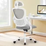 Thumbnail Home Office Desk Chair — Smart Chairs, Sweetcrispy