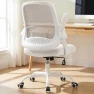 Thumbnail Office Chair Gaming Desk Computer Mesh Ergonomic Chair with Flip-up Arms Comfy Lumbar Support Adjustable Height Rolling... — Smart Chairs, NEO CHAIR