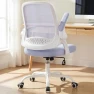 Thumbnail Office Chair Gaming Desk Computer Mesh Ergonomic Chair with Flip-up Arms Comfy Lumbar Support Adjustable Height Rolling... — Smart Chairs, NEO CHAIR