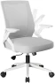 Thumbnail Office Chair with Flip-up Armrests, Ergonomic Computer Desk Chair with Adaptive Lumbar Support & Breathable Mesh — Smart Chairs, COMHOMA