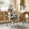 Thumbnail Office Desk Chair with Footrest Ergonomic Gaming Chair — Smart Chairs, DUMOS