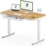 Thumbnail Comhar Electric Standing Desk with Drawers and USB Charging — Standing Desk, FLEXISPOT