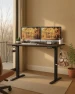 Thumbnail Electric Standing Desk 48" x 24" — Standing Desk, Next Beauty