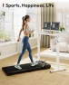 Thumbnail Electric Standing Desk 79 x 32 Inches — Standing Desk, SANODESK