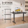 Thumbnail Electric Standing Desk, Malacca Solid Wood — Standing Desk, Plyosdey