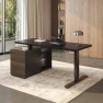 Thumbnail Executive Standing Desk with Drawers & CPU Holder — Standing Desk, FLEXISPOT