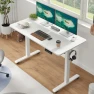 Thumbnail 48 x 24 inches Electric Standing Desk — Standing Desk, Casaphoria
