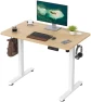 Thumbnail 48 x 24 inches Electric Standing Desk — Standing Desk, Casaphoria