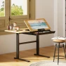 Thumbnail Electric Drafting Table Adjustable Height 47.2"x23.6" Standing Drawing Desk Extendable Top Craft Workstation with... — Standing Desk, FLEXISPOT